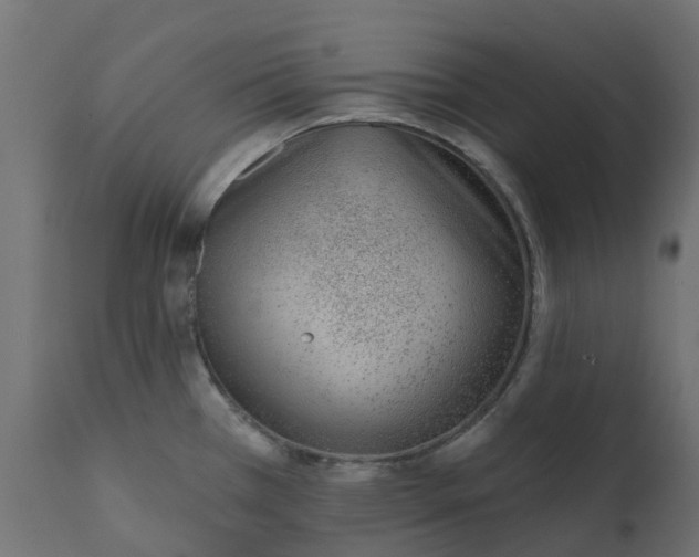 X0000110721385200906261445