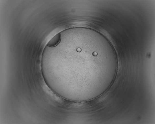 X0000110721386200906261445