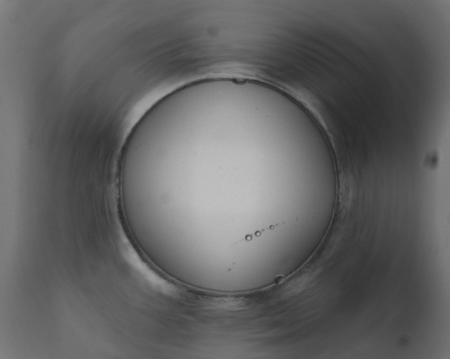 X0000110721387200906261445