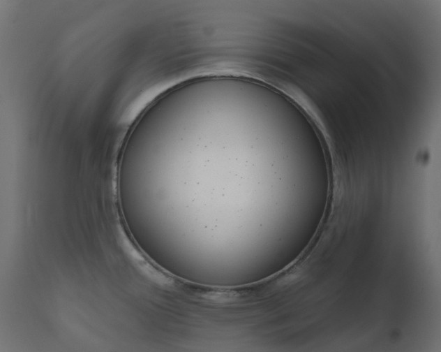 X0000110721388200906261445
