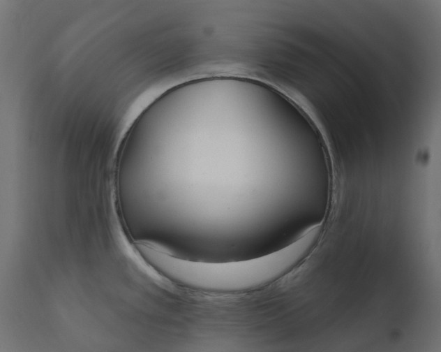 X0000110721389200906261445