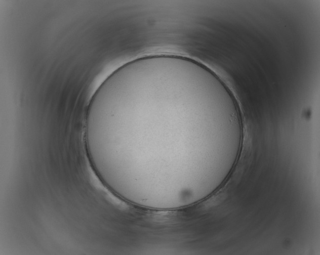X0000110721390200906261445
