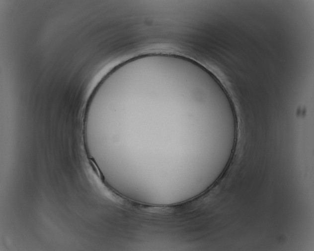 X0000110721392200906261445