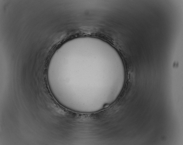 X0000110721393200906261444