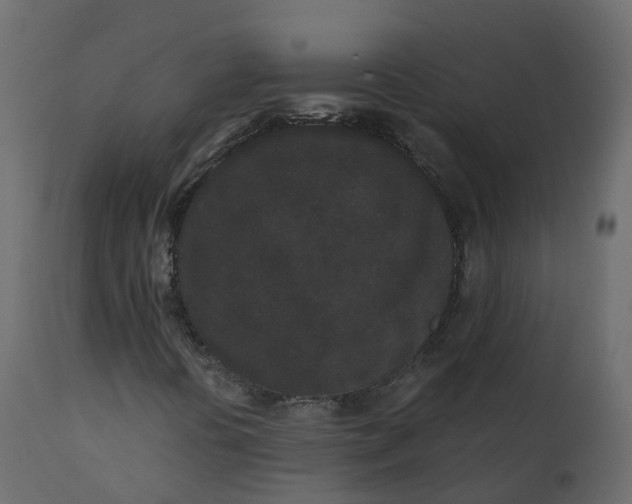 X0000110721394200906261444