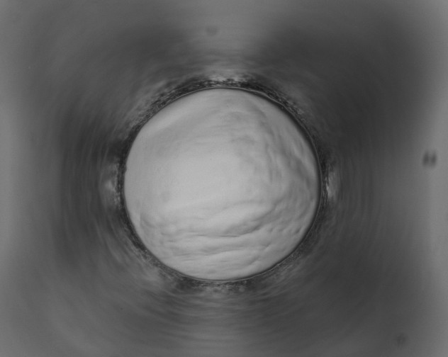 X0000110721396200906261444