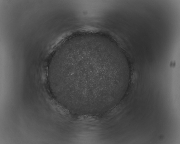 X0000110721397200906261444