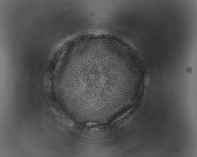 X0000110721398200906261444