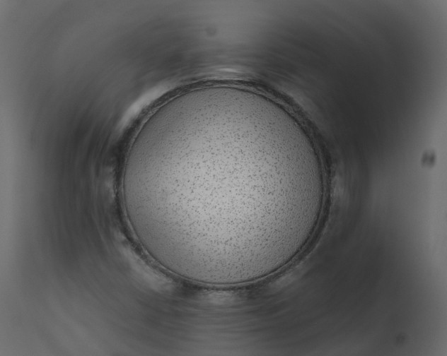 X0000110721402200906261445