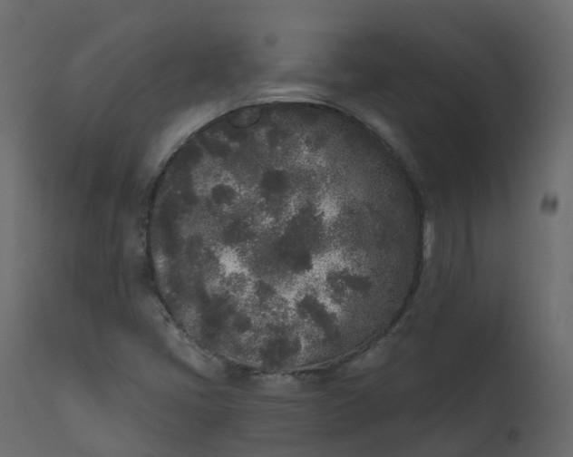 X0000110721405200906261445