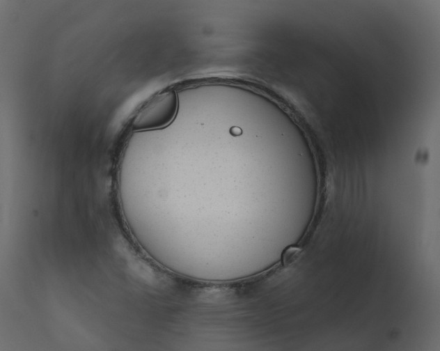 X0000110721406200906261445