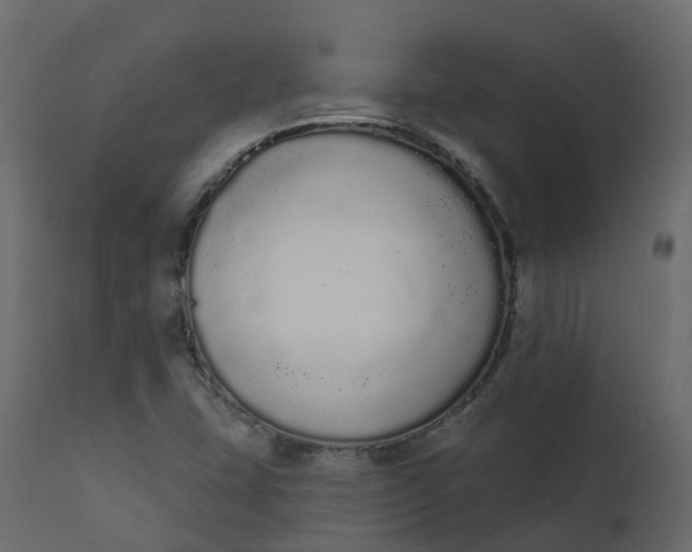 X0000110721407200906261445