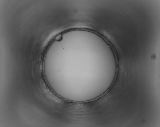 X0000110721408200906261445
