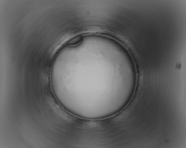 X0000110721409200906261445