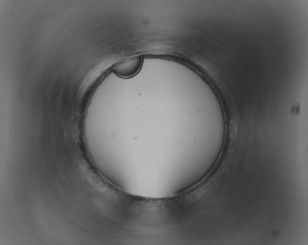 X0000110721410200906261445