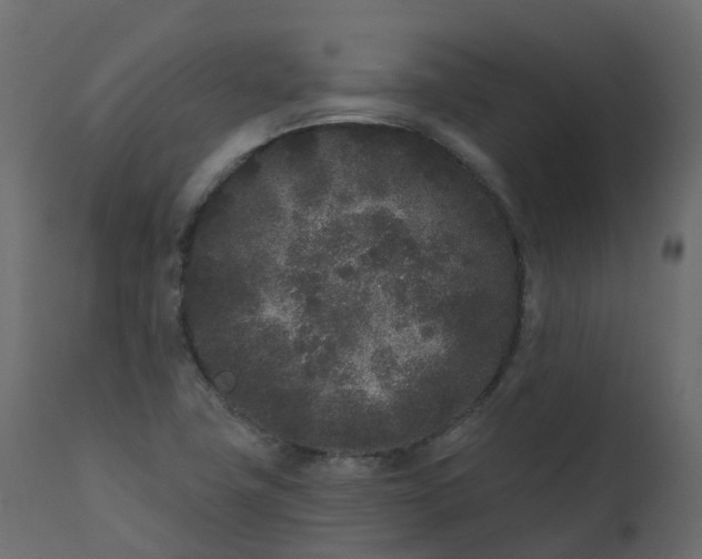 X0000110721411200906261445