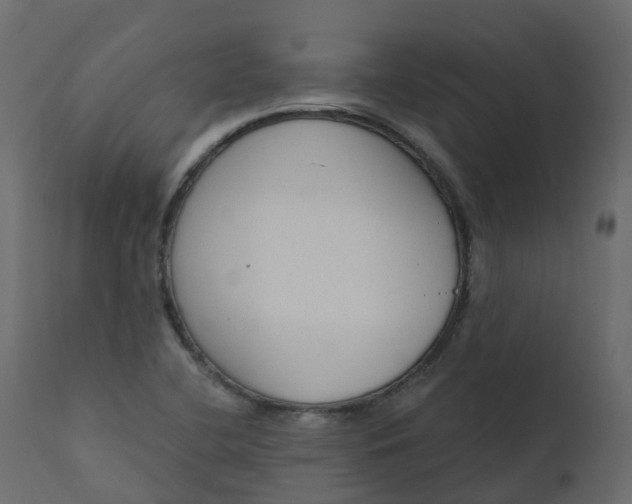 X0000110721412200906261445