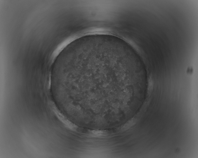 X0000110721413200906261445