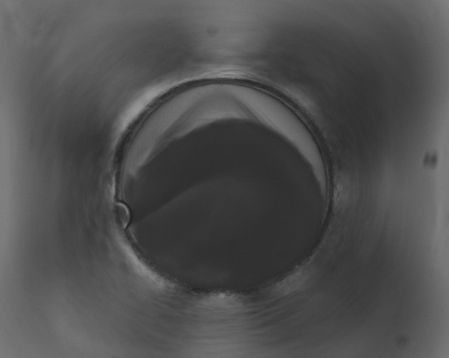 X0000110721414200906261445