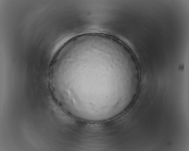X0000110721415200906261445