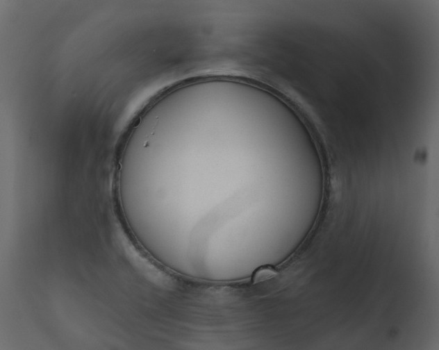 X0000110721416200906261445