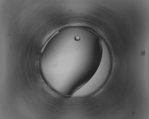 X0000110721417200906261445