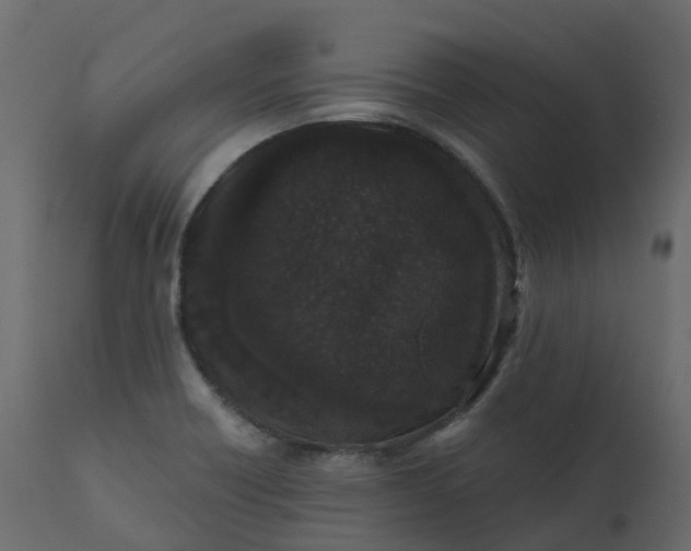 X0000110721418200906261445