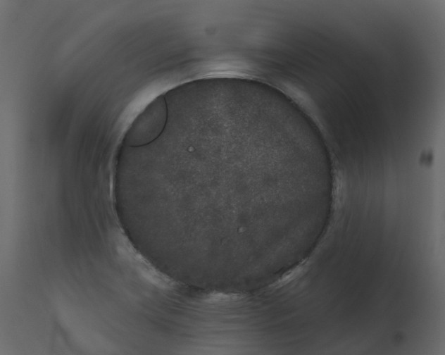X0000110721419200906261445