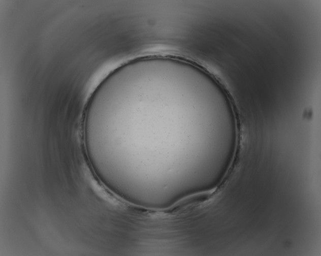 X0000110721421200906261445