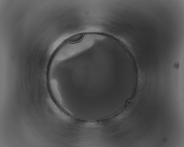 X0000110721422200906261445