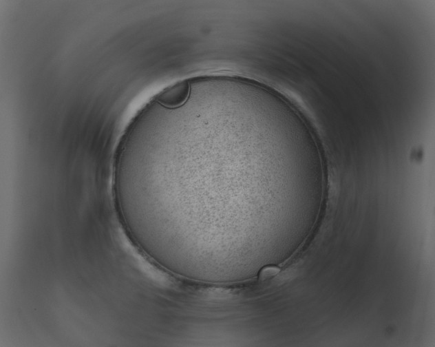 X0000110721424200906261445