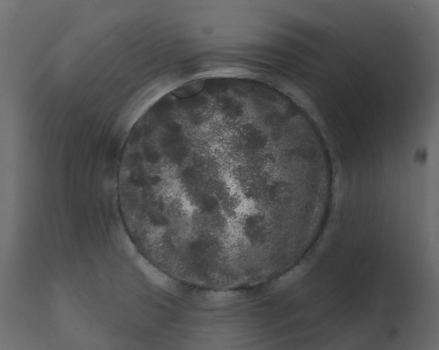 X0000110721425200906261445