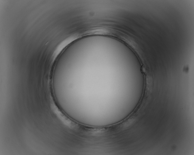 X0000110721426200906261445