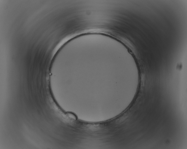X0000110721428200906261445