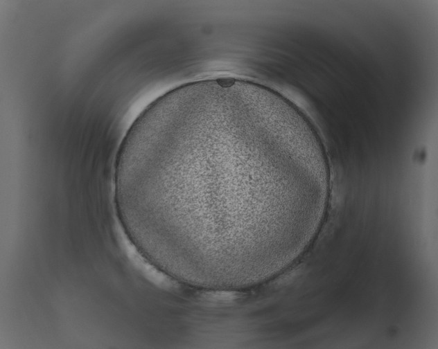 X0000110721431200906261445