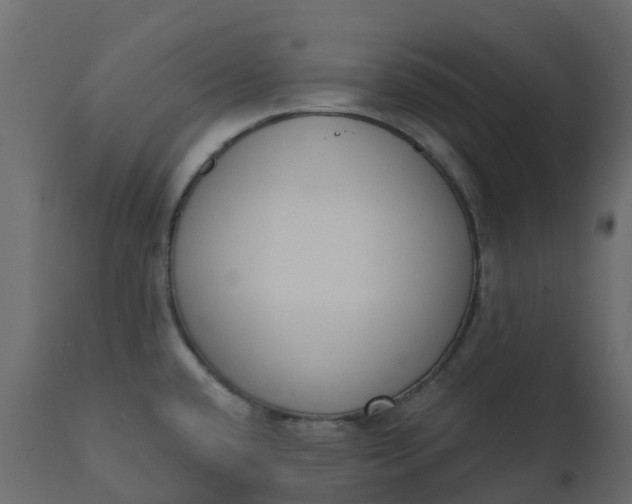 X0000110721432200906261445