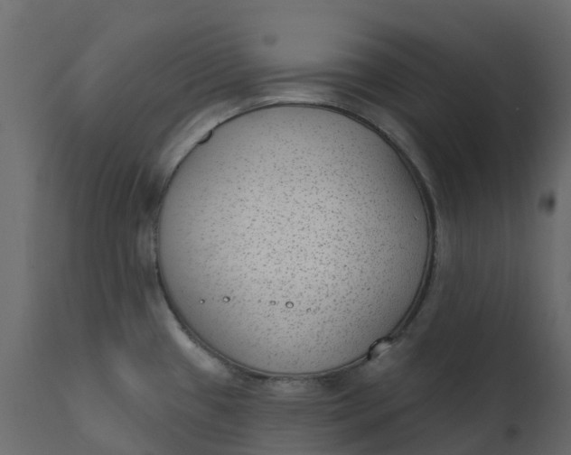 X0000110721433200906261445