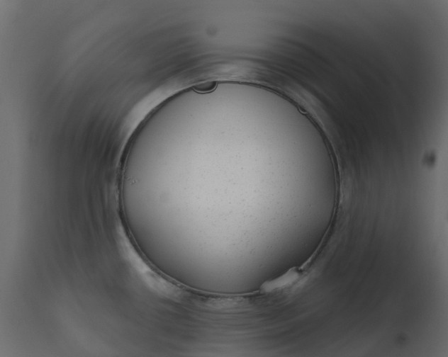 X0000110721434200906261445