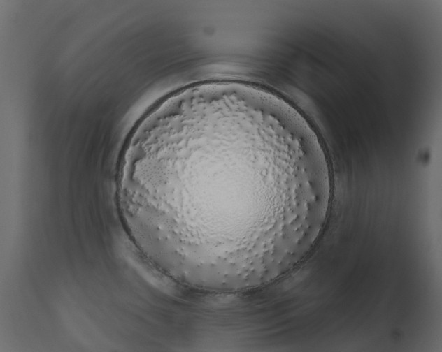 X0000110721435200906261445