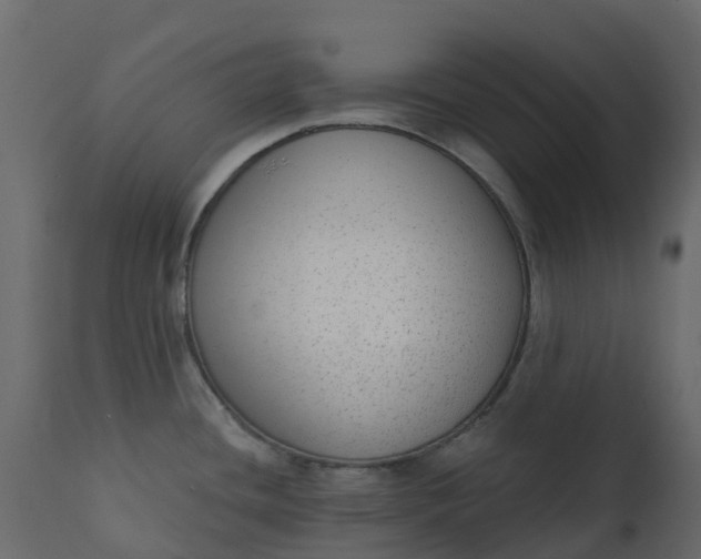 X0000110721436200906261445