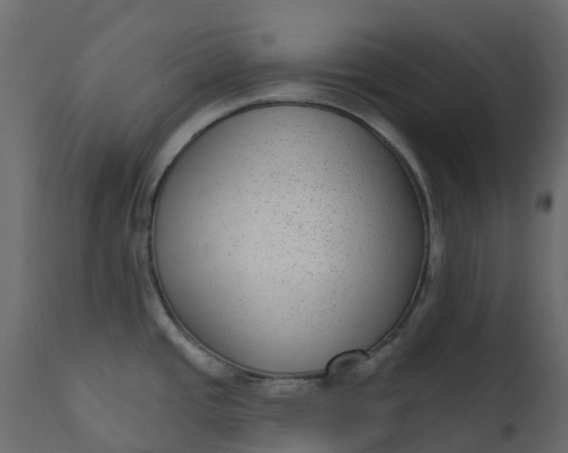 X0000110721437200906261445