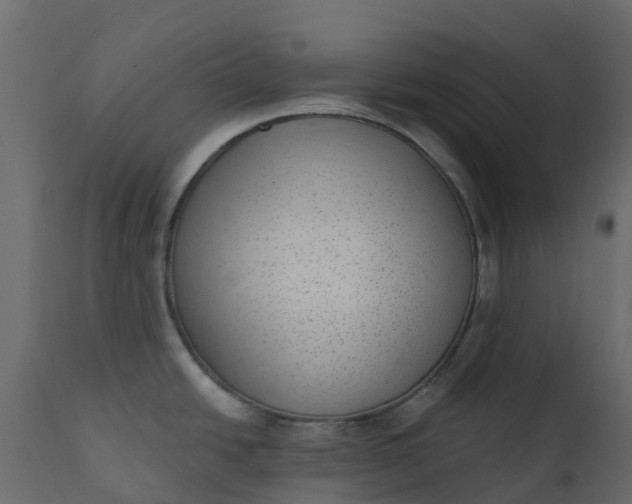 X0000110721438200906261445
