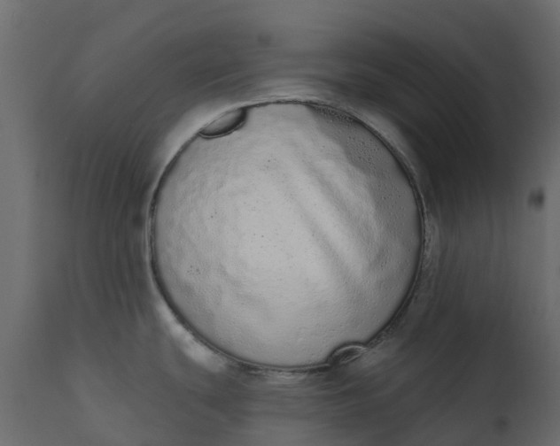 X0000110721439200906261445