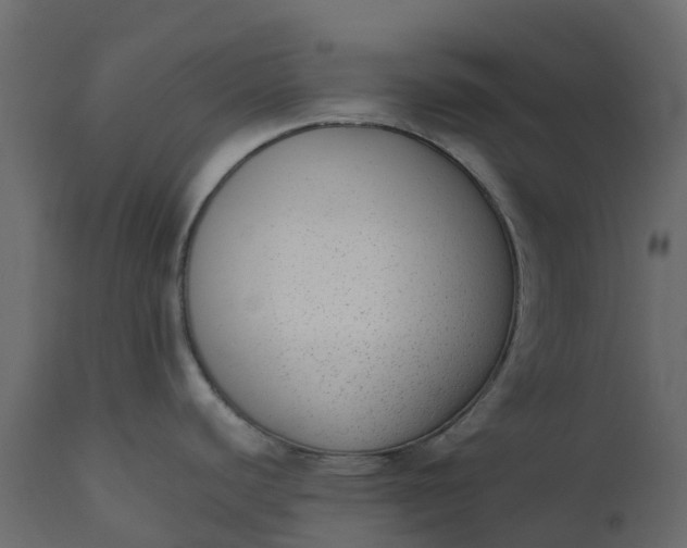 X0000110721440200906261445