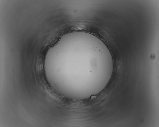X0000110721442200906261444