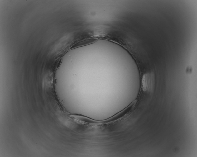 X0000110721443200906261444