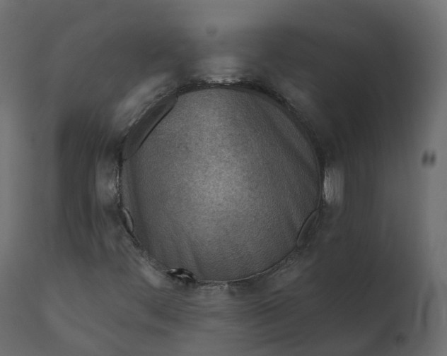 X0000110721444200906261444