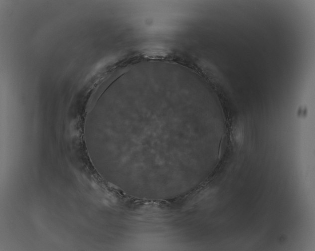 X0000110721445200906261444
