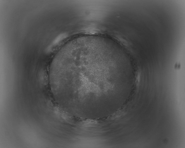 X0000110721446200906261444
