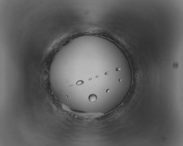X0000110721447200906261444